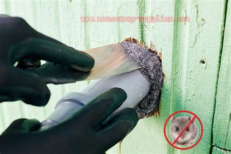 metal fabric pest control|is steel wool safe for pest control.